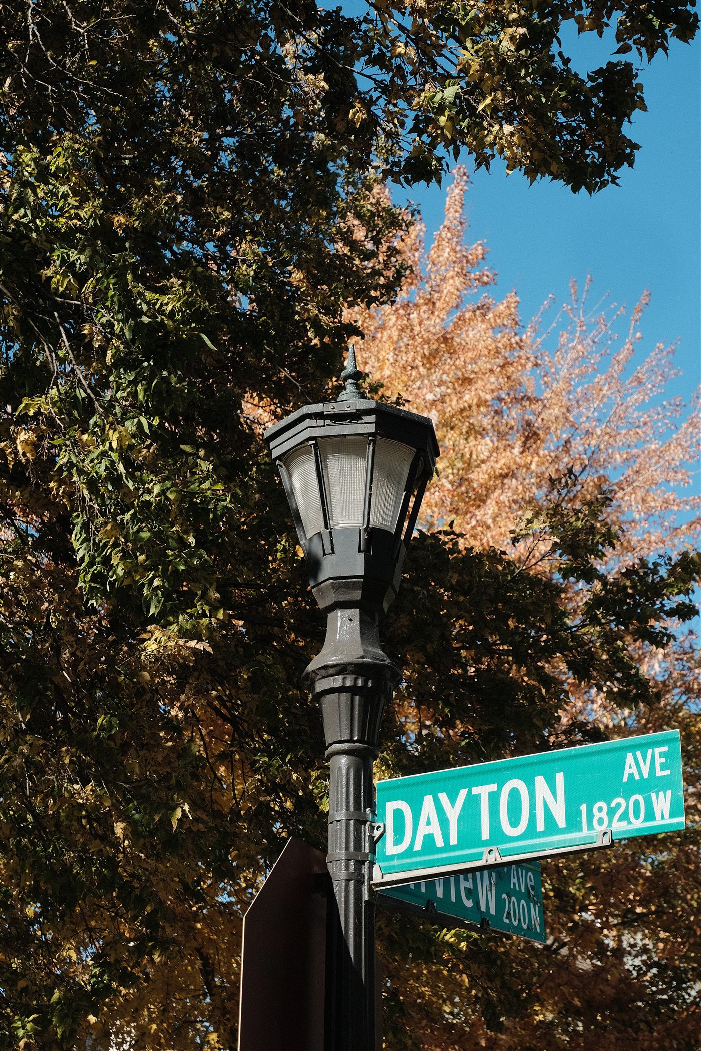 A black street lamp and a Dayton Avenue street sign among autumn trees